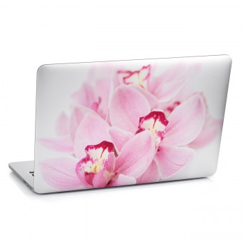 Samolepka na notebook - Růžová orchidej