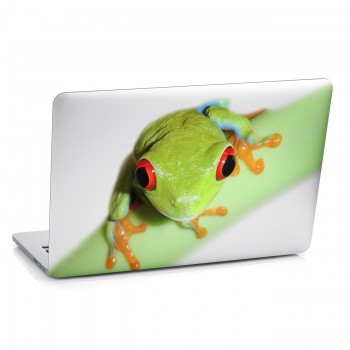 Samolepka na notebook - Žába