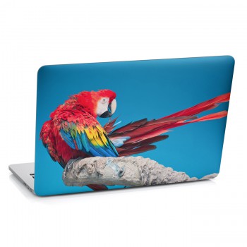 Samolepka na notebook - Papoušek