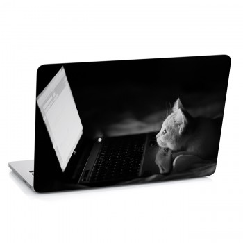 Samolepka na notebook - Kočička s notebookem